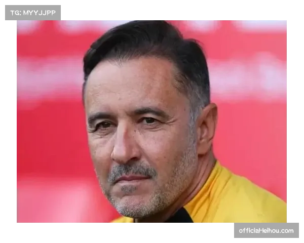 狼队主席感谢佩雷拉贡献 表达对其离任的敬意